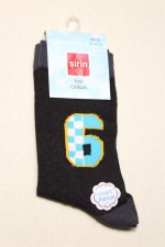 ŞİRİN DES.LYC.E.ÇOC.ÇOR.NO:11