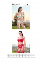 NURTEKS 2491 DESTEKLİ JARTİYER TAKIM