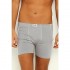 Yıldız 107 Erkek Modal Boxer Gri
