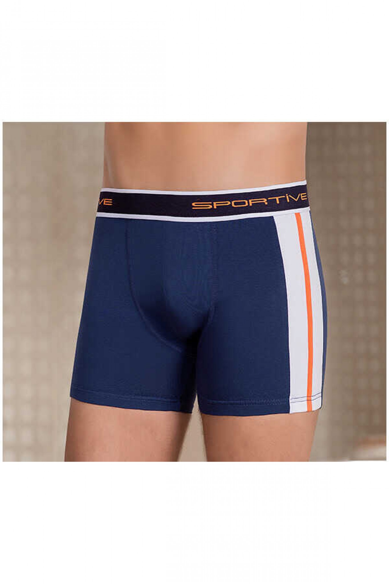 Berrak 1080 Erkek Boxer