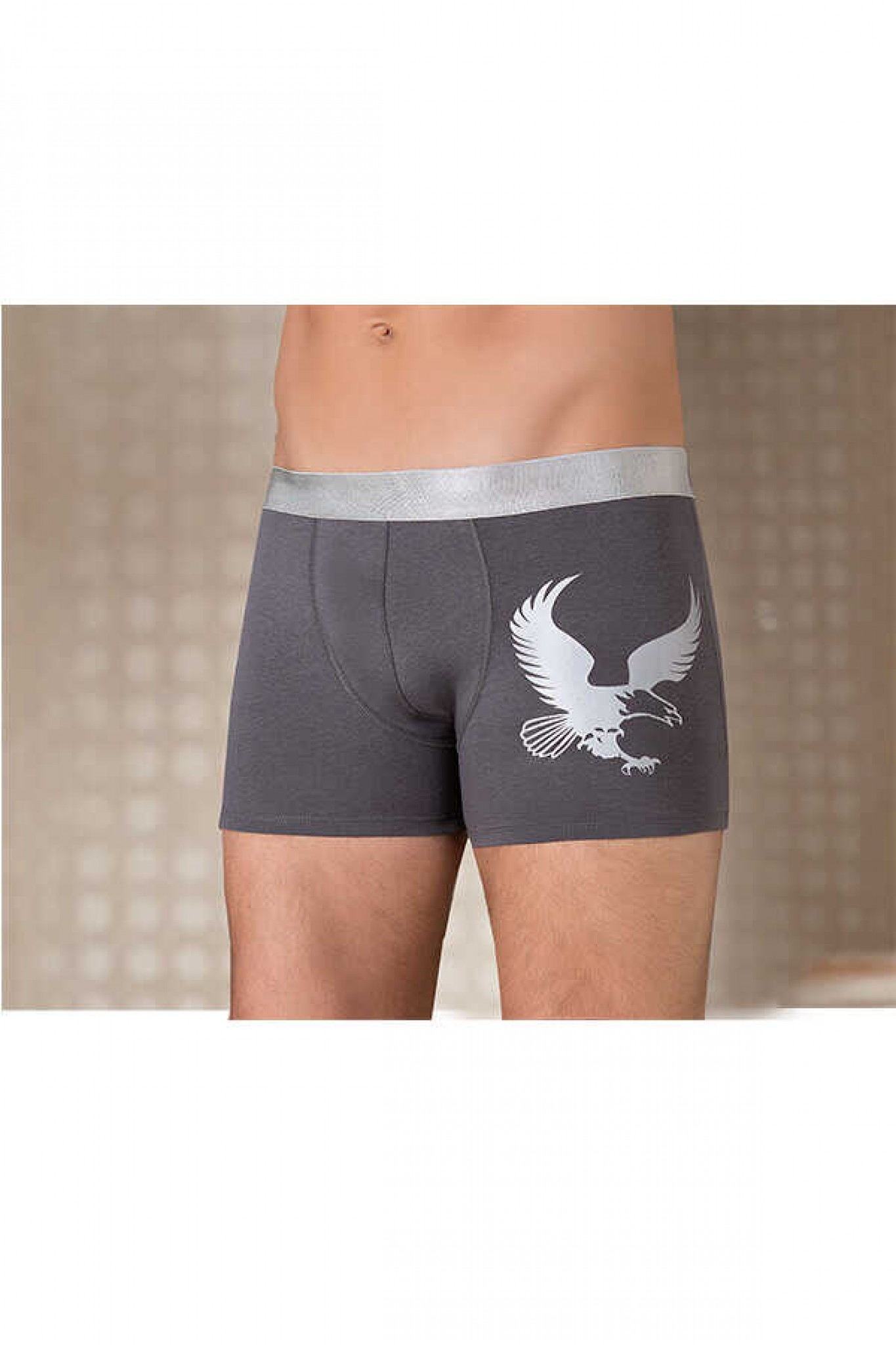 Berrak 1091 Erkek Boxer